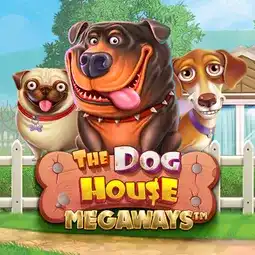The Dog House Megaways spiel bei Stargames Casino für Spieler in Deutschland The Dog House Megaways spiel bei Stargames Casino für Spieler in Deutschland